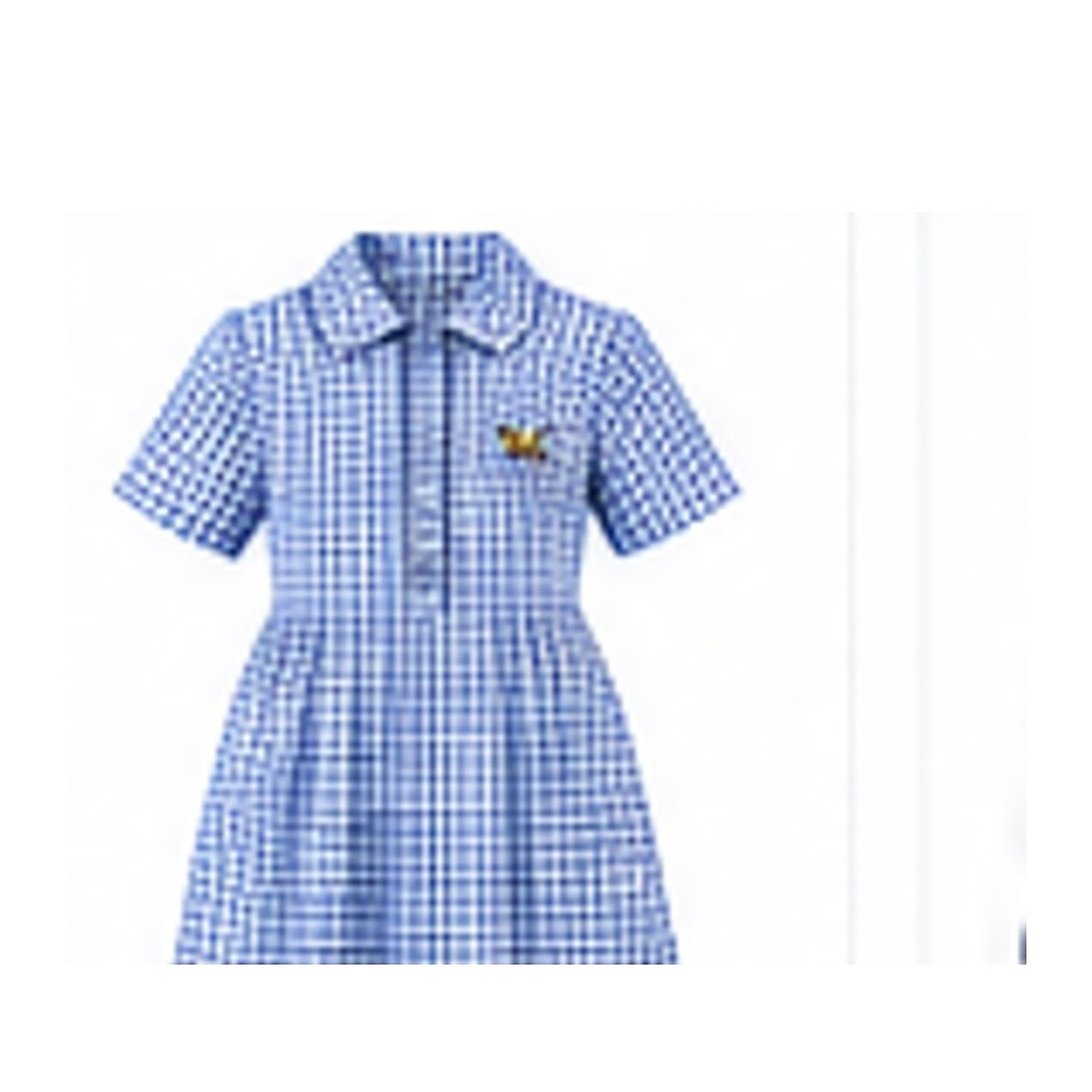 School Dress